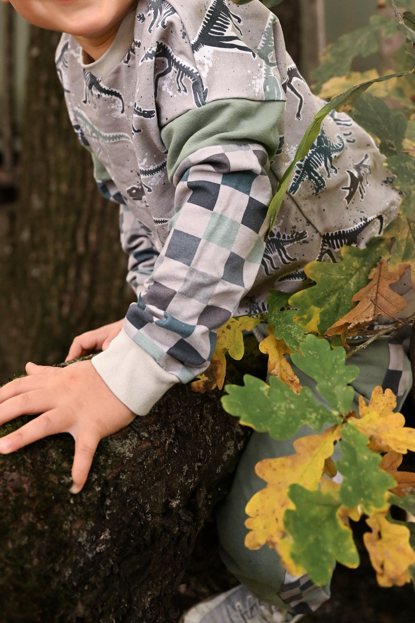 Supersoft Premium BIO French Terry "Fossilien" mittel 0,5 m