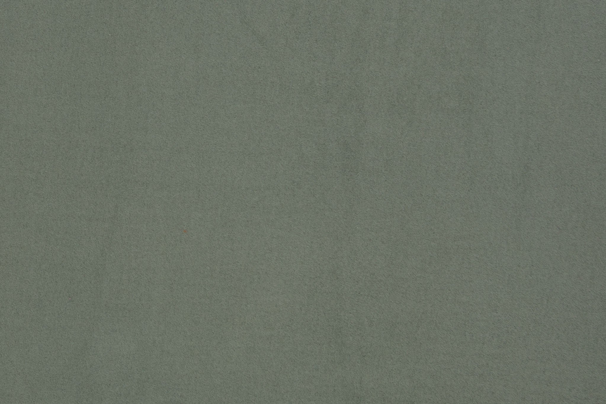 Baumwollfleece Eukalyptus 0,1 m ABVERKAUF