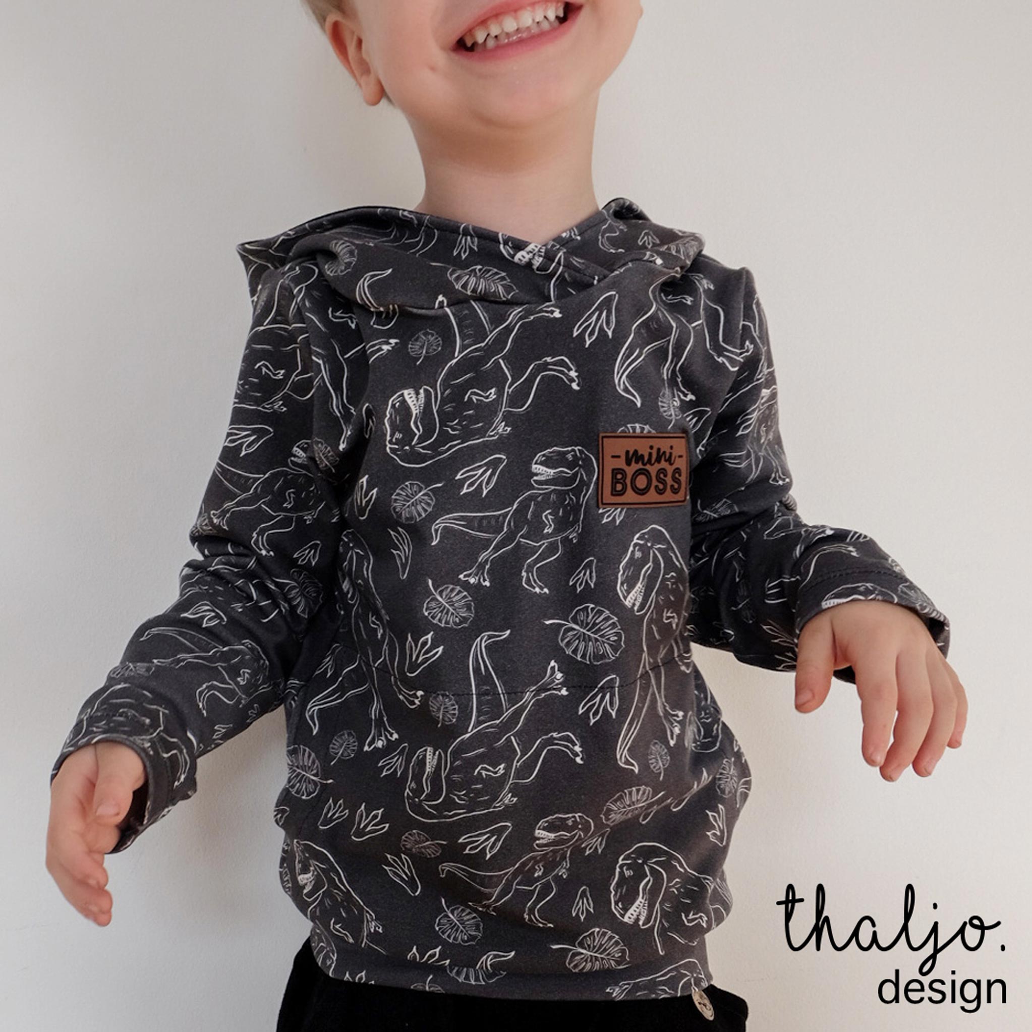 Premium Wintersweat "Kreidezeit" T-Rex 0,5 m