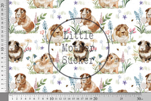 Design "Guinea Pigs" 0,5 m