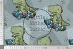 Lade das Bild in den Galerie-Viewer, Supersoft Premium French Terry &quot;Rex Skate&quot; slate groß 0,9 m Rest
