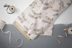 Lade das Bild in den Galerie-Viewer, Supersoft Premium French Terry &quot;Sunny Bunny&quot; Boy klein 0,5 m
