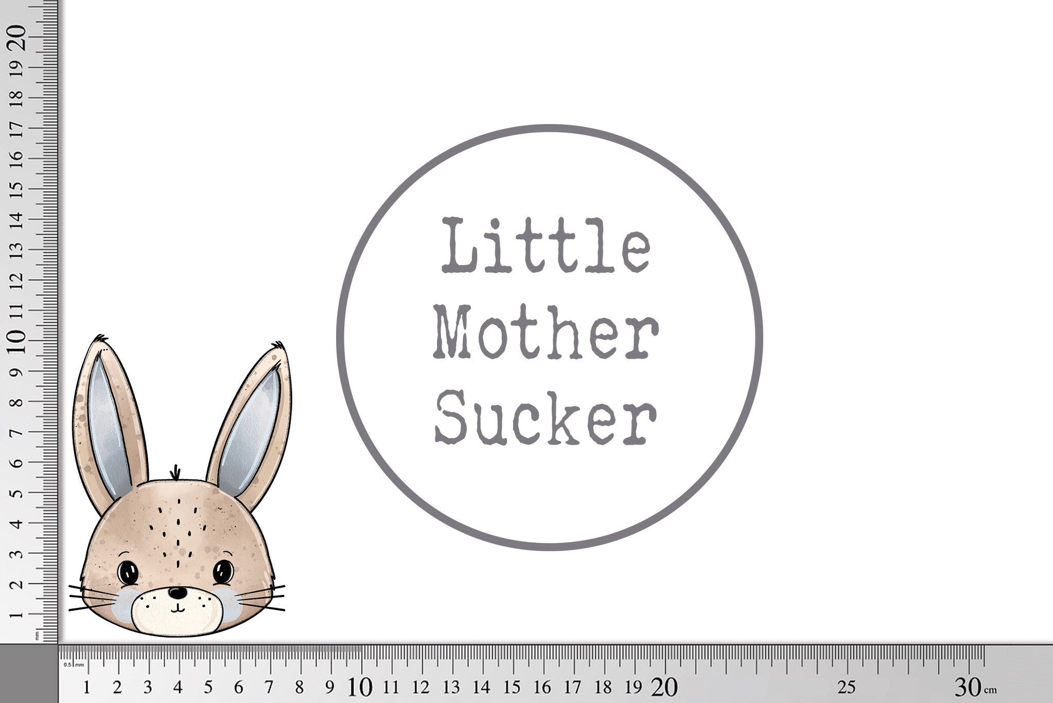 Rub-on Sticker "Sunny Bunny" boy Augen offen