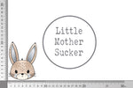 Lade das Bild in den Galerie-Viewer, Rub-on Sticker &quot;Sunny Bunny&quot; boy Augen offen

