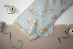 Lade das Bild in den Galerie-Viewer, Supersoft Premium BIO Jersey "Laundry Day" Teddy blue 0,5 m
