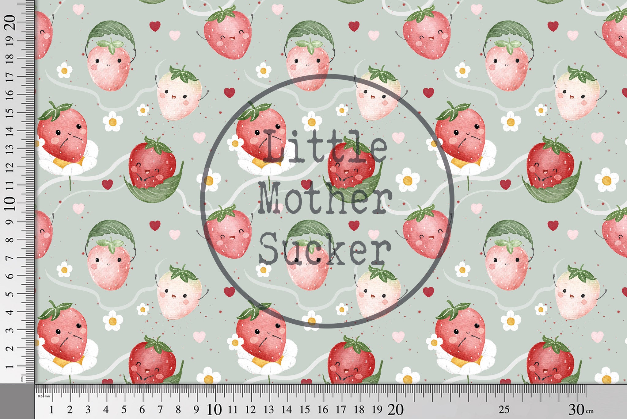 BIO French Terry "Sweet Strawberries" COLLECTION 0,5 m Lager