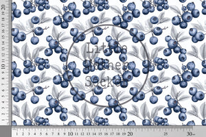 BIO Baumwoll Satin "Sketched Blueberries" klein 0,5 m
