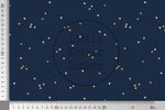 Lade das Bild in den Galerie-Viewer, Design &quot;Dinos&quot; COLLECTION 0,5 m
