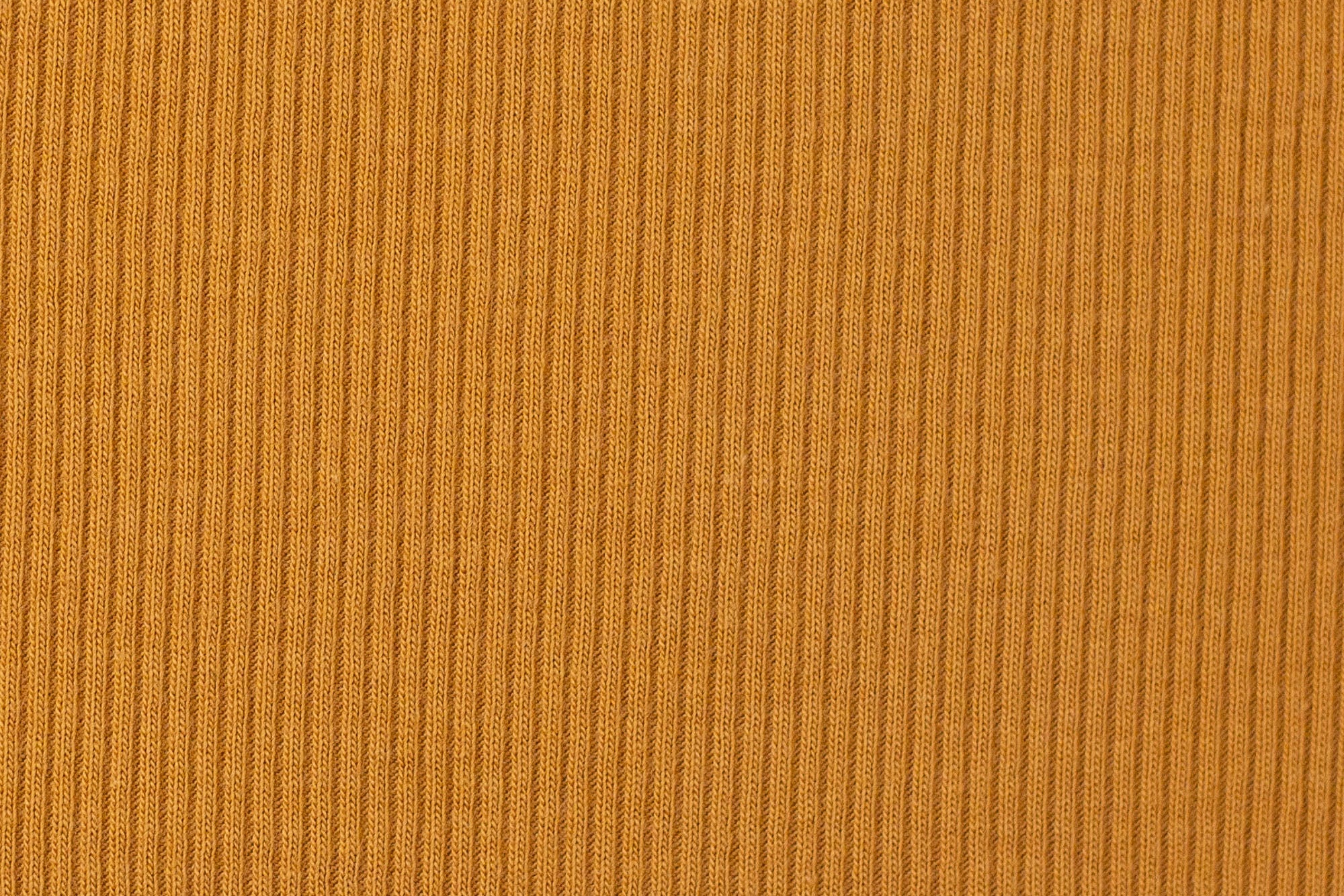 Rippjersey Honey 0,1 m