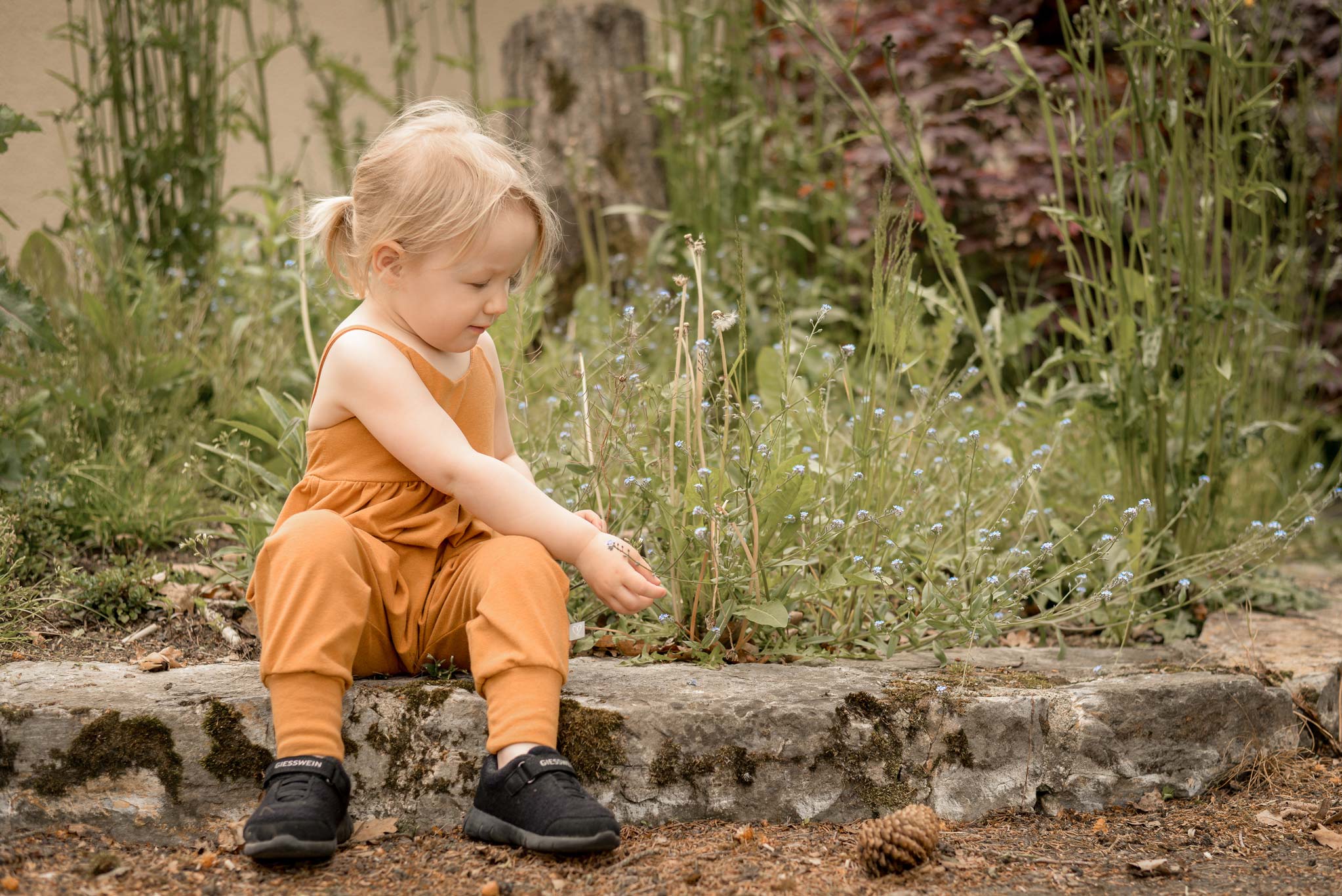 Bündchen meliert Honey 0,5 m