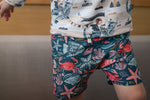 Lade das Bild in den Galerie-Viewer, Lycra "Olli" pale stripe 0,5 m
