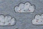 Lade das Bild in den Galerie-Viewer, Alpenfleece meliert Blau &quot;Wolken&quot; 0,1 m
