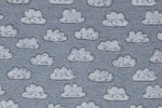 Lade das Bild in den Galerie-Viewer, Alpenfleece meliert Blau &quot;Wolken&quot; 0,1 m
