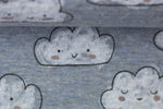 Lade das Bild in den Galerie-Viewer, Alpenfleece meliert Blau &quot;Wolken&quot; 0,1 m
