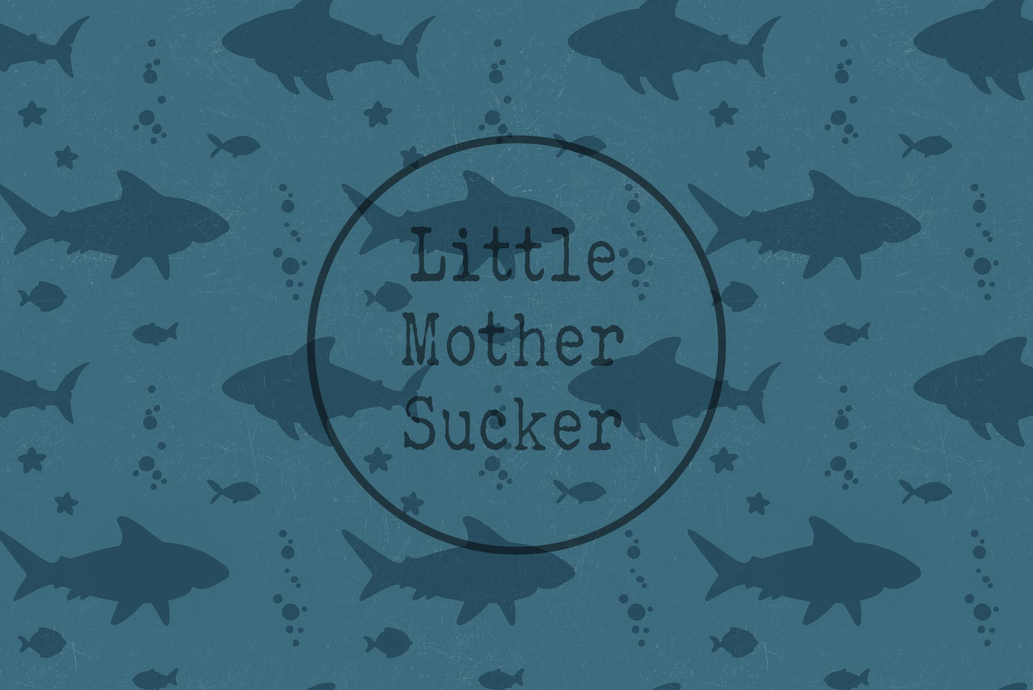 Lycra "Sharky" COLLECTION