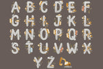 Lade das Bild in den Galerie-Viewer, Design &quot;Cars&quot; Alphabet stone COLLECTION

